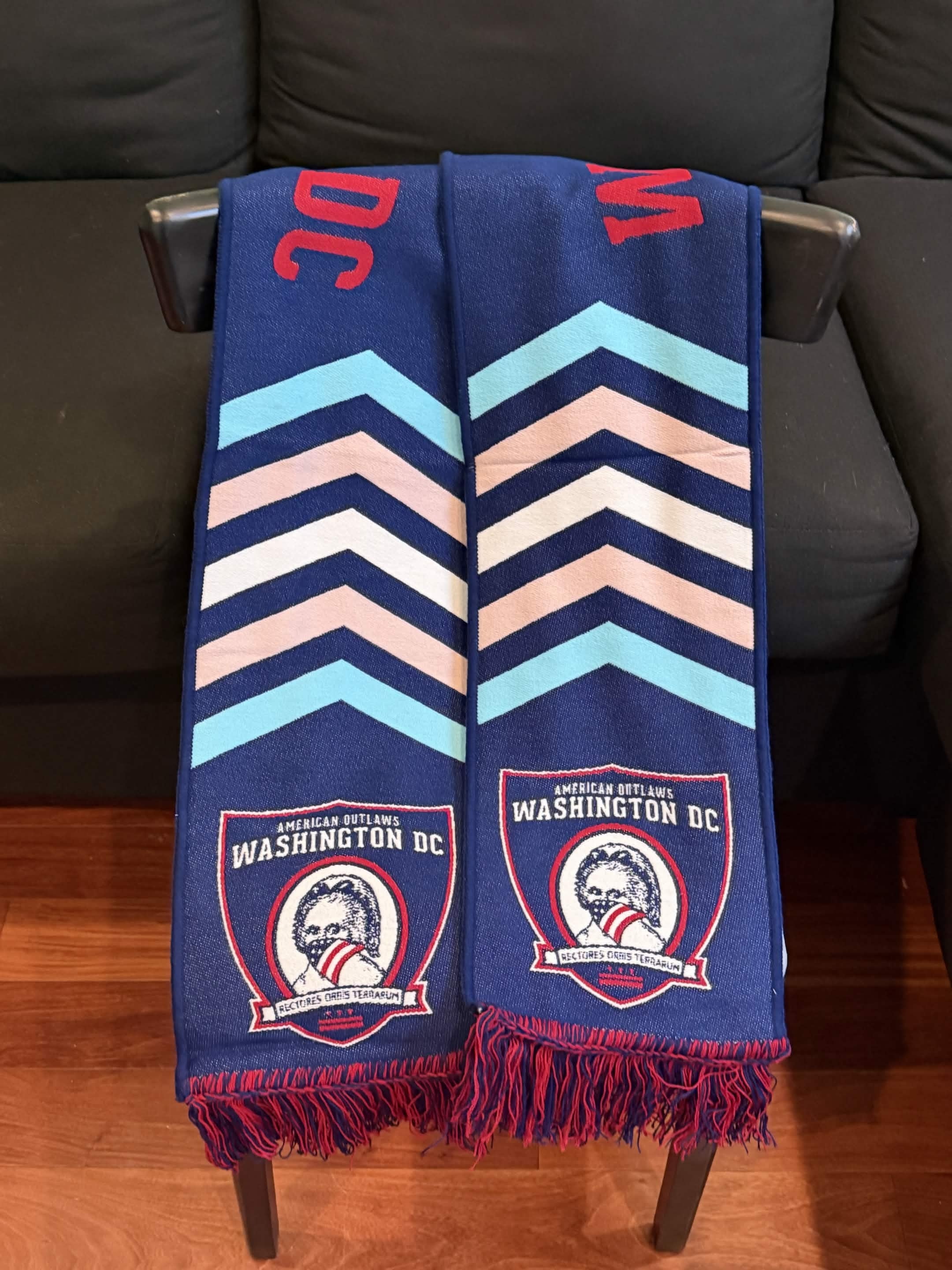 AODC 2023 Pride Scarf